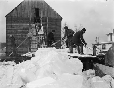 Ice harvesting, shooting the cakes into the house, c.1903 by Detroit Publishing Co.